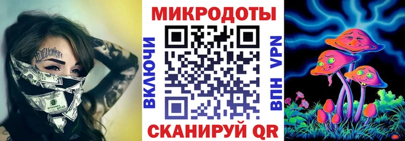 Галлюциногенные грибы Psilocybe  Тутаев 