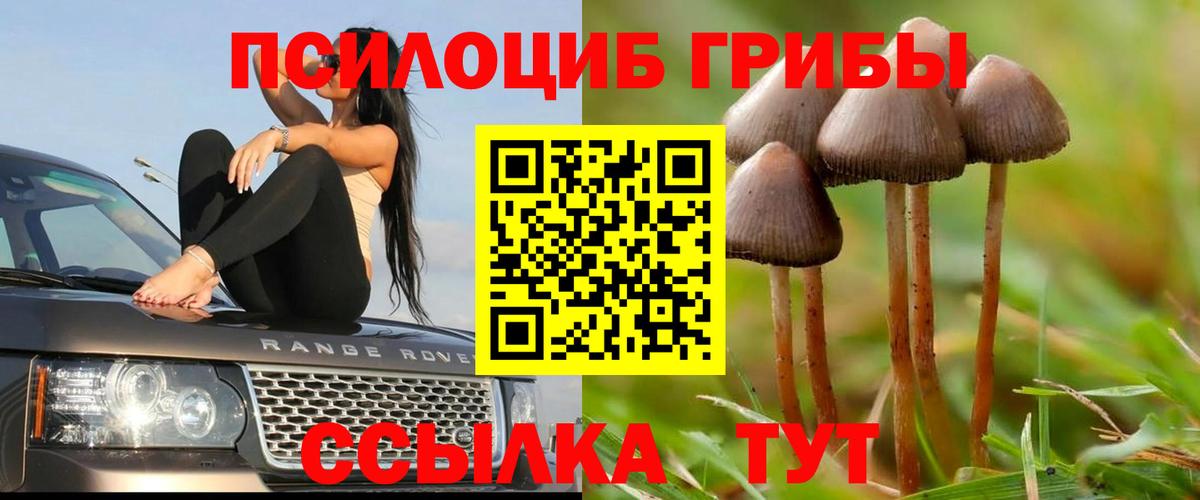 Псилоцибиновые грибы Magic Shrooms Тутаев
