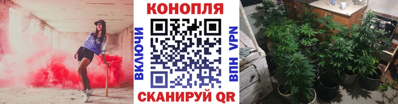 мега ссылка  Тутаев  Конопля марихуана 